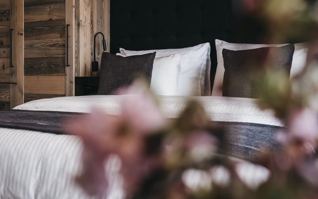 Unterkunft Zimmer/Appartement/Chalet: 3 Zimmer Apartement Superior