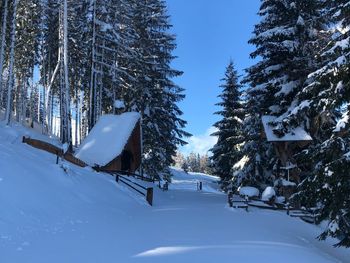 Fuxluckn Hüttn - Kärnten - Österreich