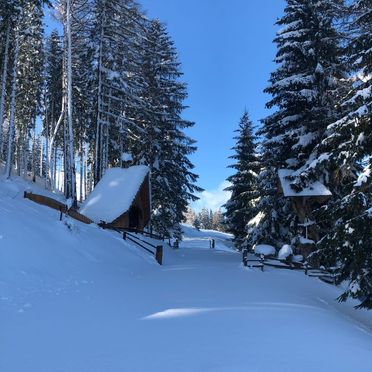 Winter, Fuxluckn Hüttn, Bad St. Leonhard, Kärnten, Carinthia , Austria