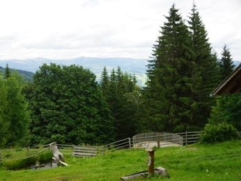 Fuxluckn Hüttn - Kärnten - Österreich