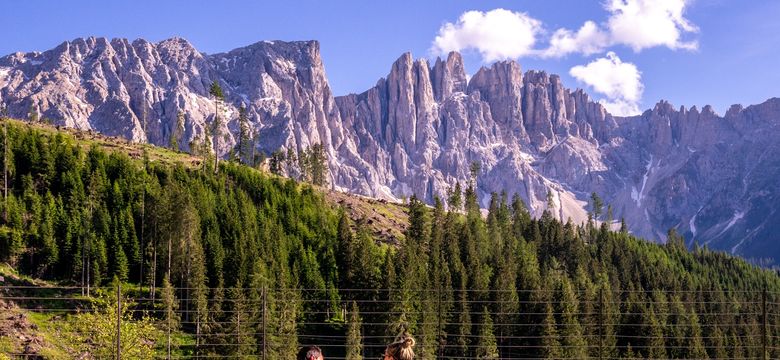 Moseralm Dolomiti Spa Resort: Wellness Days