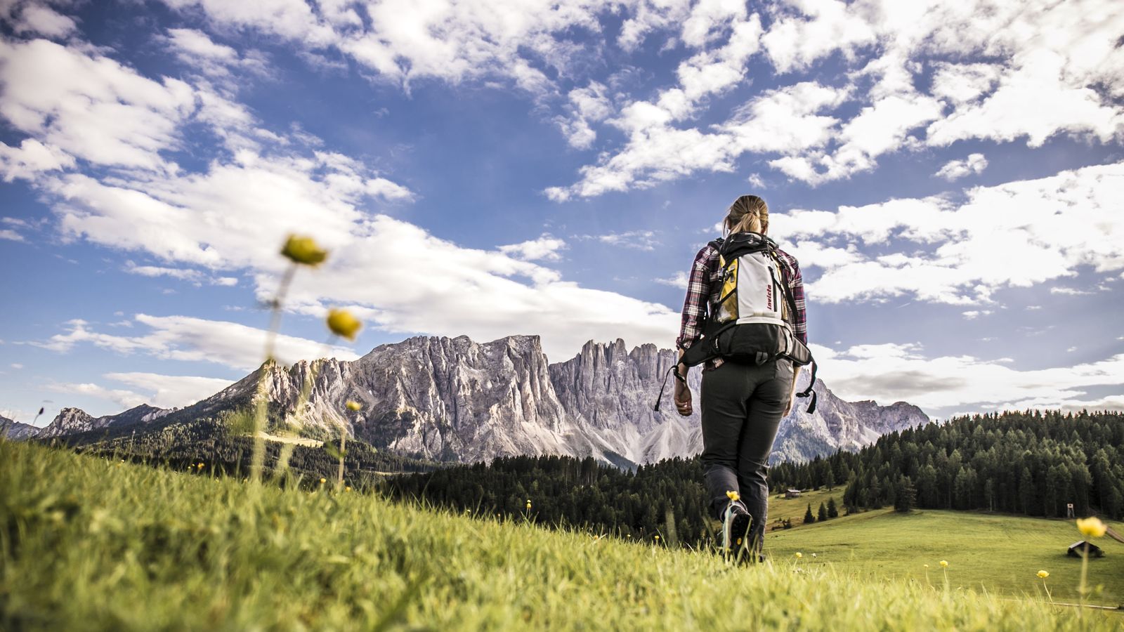 Bild #14 - Moseralm Dolomiti Spa Resort