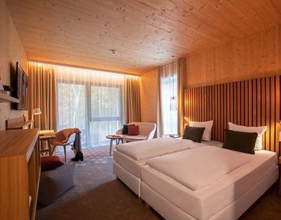 Hotel Heidegrund: Superior Doppelzimmer "Energiequelle"