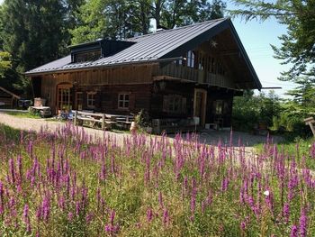 Hütte im Moor - Bayern - Deutschland