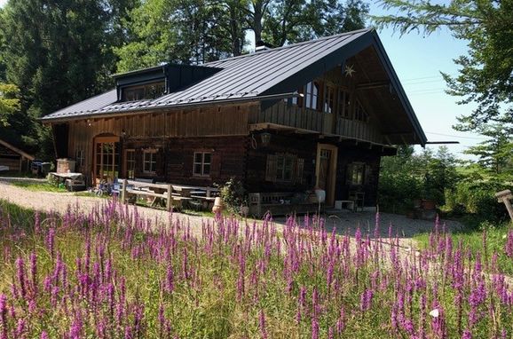 , Hütte im Moor, Gstadt, Bayern, Bavaria, Germany