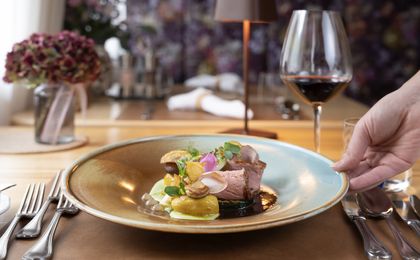 Natur- und Wellnesshotel Höflehner in Gumpenberg, Steiermark, Styria, Austria - image #3