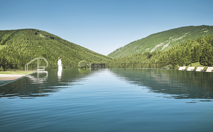 Almwellness Hotel Pierer in Fladnitz, Styria, Austria - image #2