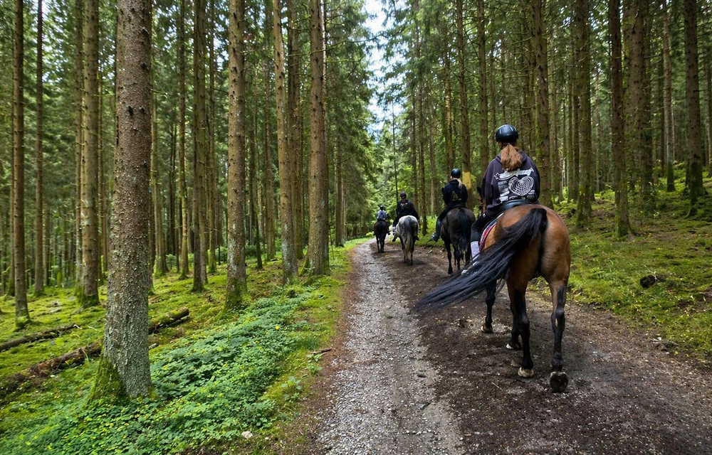 Ponypark