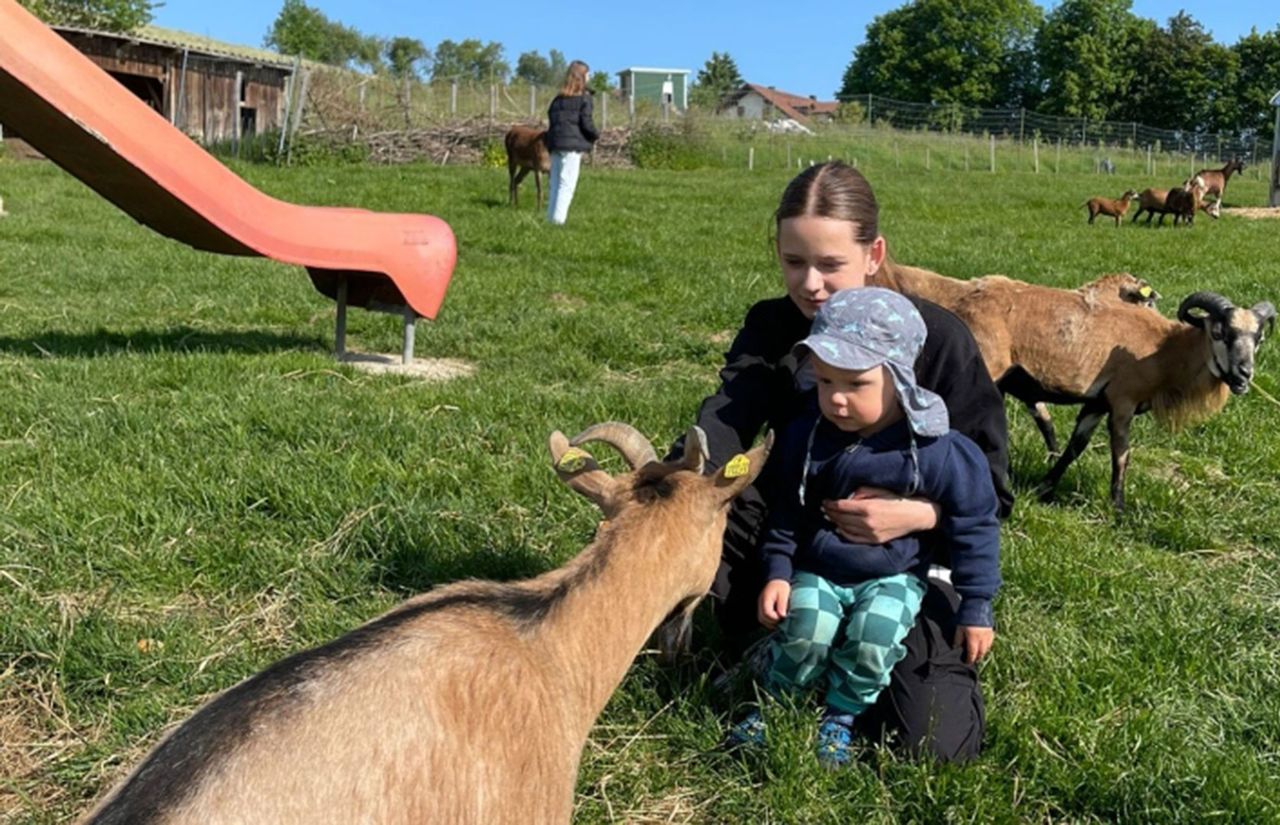 Wildgehege-mit-Ziegen-und-Schafen.jpg