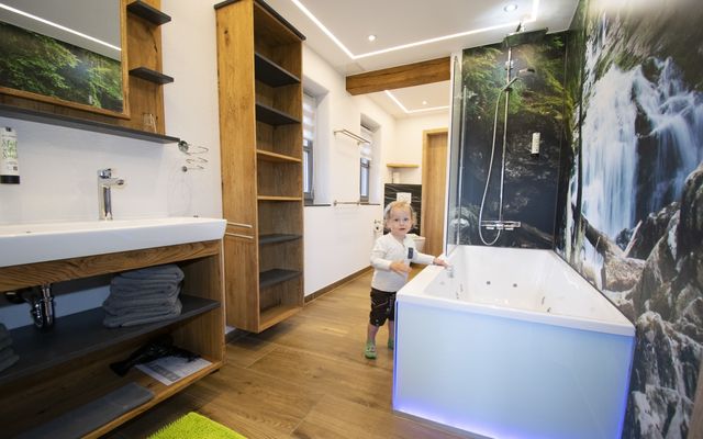 Hirsch Ingo image 7 - Familotel Bayerischer Wald Der Böhmerwald