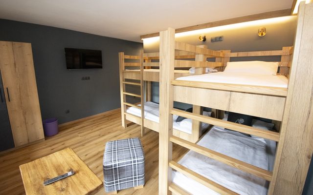Kater Flo image 5 - Familotel Bayerischer Wald Der Böhmerwald