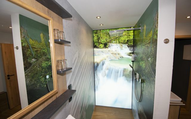 Kater Flo image 2 - Familotel Bayerischer Wald Der Böhmerwald