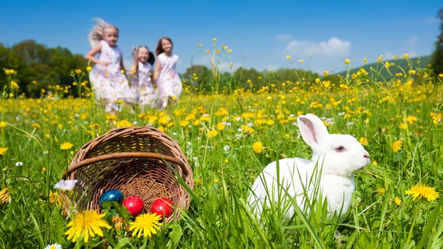Ostern mit der ganzen Familie