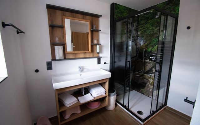 Haflinger Rambo image 5 - Familotel Bayerischer Wald Der Böhmerwald