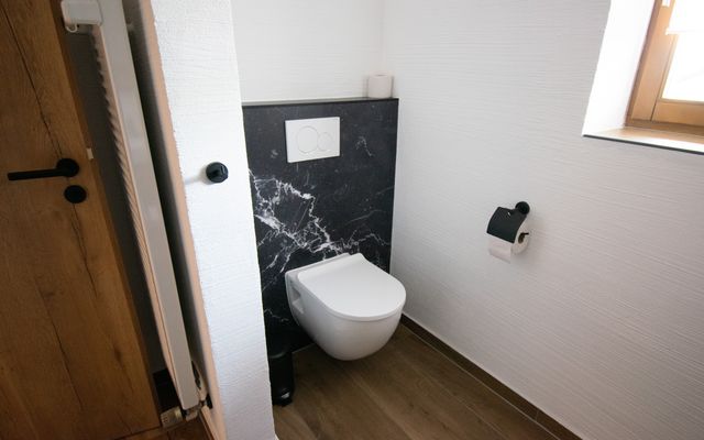Haflinger Rambo image 3 - Familotel Bayerischer Wald Der Böhmerwald