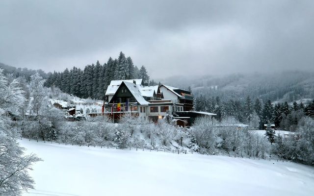 Waldhotel Willingen im Winter