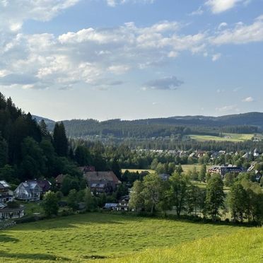Außen Winter 20, Schwarzwaldhütte Kesslerberg, Hinterzarten, Schwarzwald, Baden-Württemberg, Deutschland