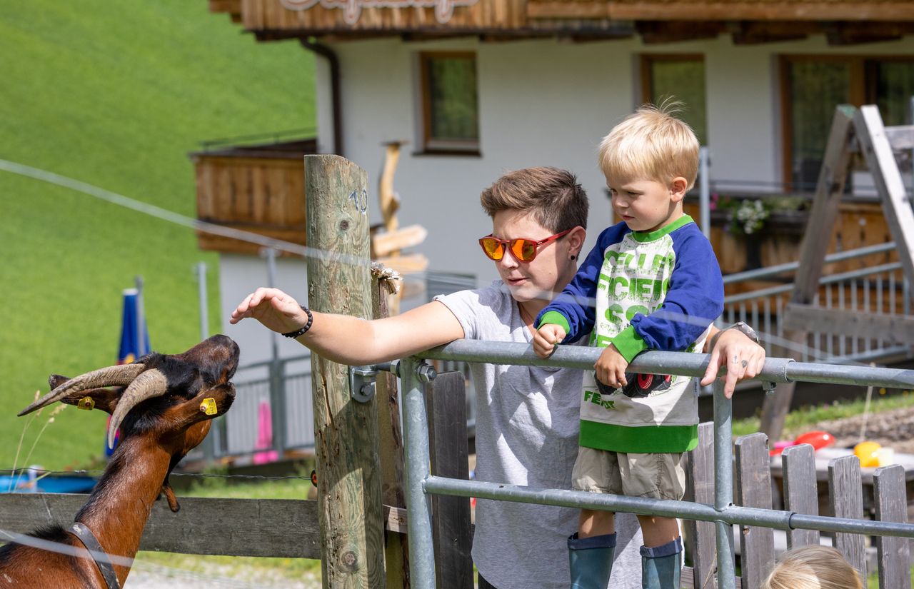 Urlaub auf dem Bauernhof