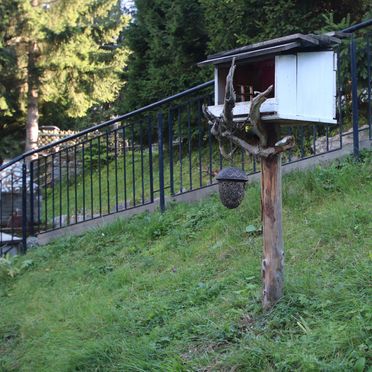 Sommer, Zirbenzapfen Hütte, Ossach, Steiermark, Steiermark, Österreich