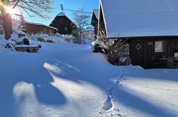 Winter, Mühlsteinhütte, Bad St. Leonhard, Carinthia , Austria