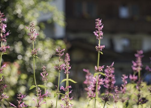 Biohotel Rastbichlhof , Neustift im Stubaital, Tyrol, Austria (19/43)