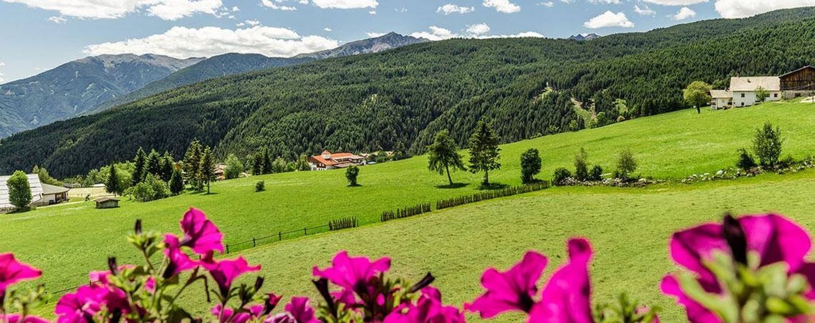 Vital Suite Deluxe image 7 - Panorama Dolomites Wellbeing SONNENBERG