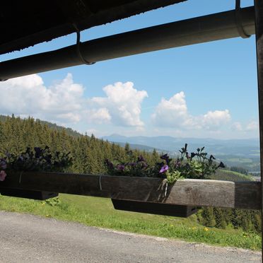 Sommer, Almhütte Hebalm II, Pack, Steiermark, Steiermark, Österreich