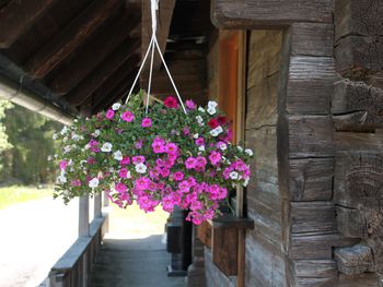 Almhütte Hebalm II - Steiermark - Österreich