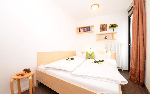 Accommodation Room/Apartment/Chalet: Apartment Comfort Queensize 1-2 persons