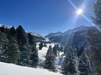 Emi Hütte - Carinthia  - Austria