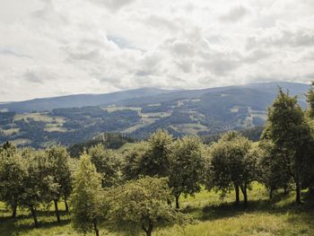 Flattner Hütte - Kärnten - Österreich