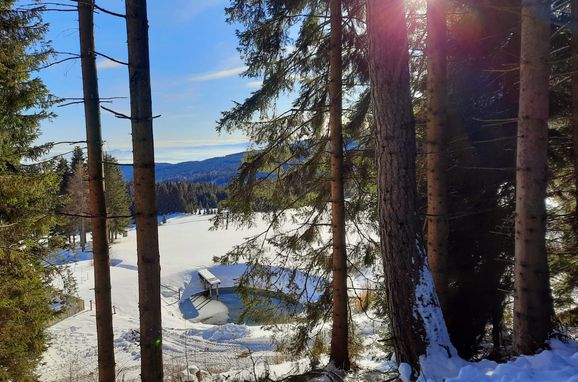 Winter, Alte Schmiedn, Stainz, Steiermark, Österreich
