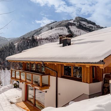 Winter, Chalet VIE, Viehofen, Salzburg, Österreich