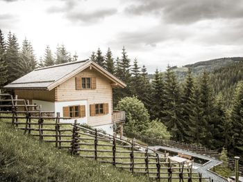 Bergchalet Kuhgraben - Carinthia  - Austria