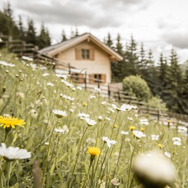 Sommer, Bergchalet Kuhgraben, Bad St. Leonhard, Kärnten, Österreich