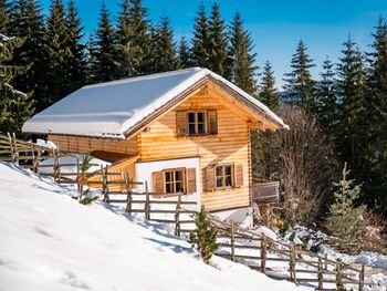 Bergchalet Kuhgraben - Carinthia  - Austria