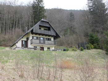 Almhütte Mrzlica - Steiermark - Slowenien