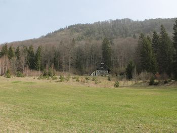 Almhütte Mrzlica - Styria  - Slovenia
