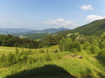 Almhütte Mrzlica - Steiermark - Slowenien