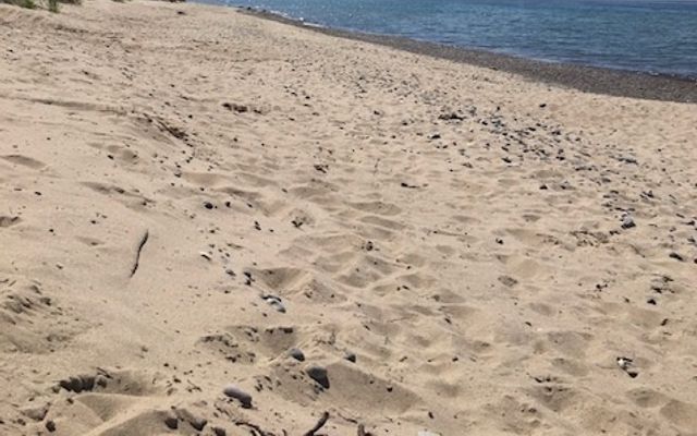 Strand in der Nähe