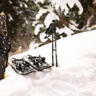 Schneeschuhe, Chalet Tannenhaus II, Gmünd in Kärnten, Kärnten, Österreich