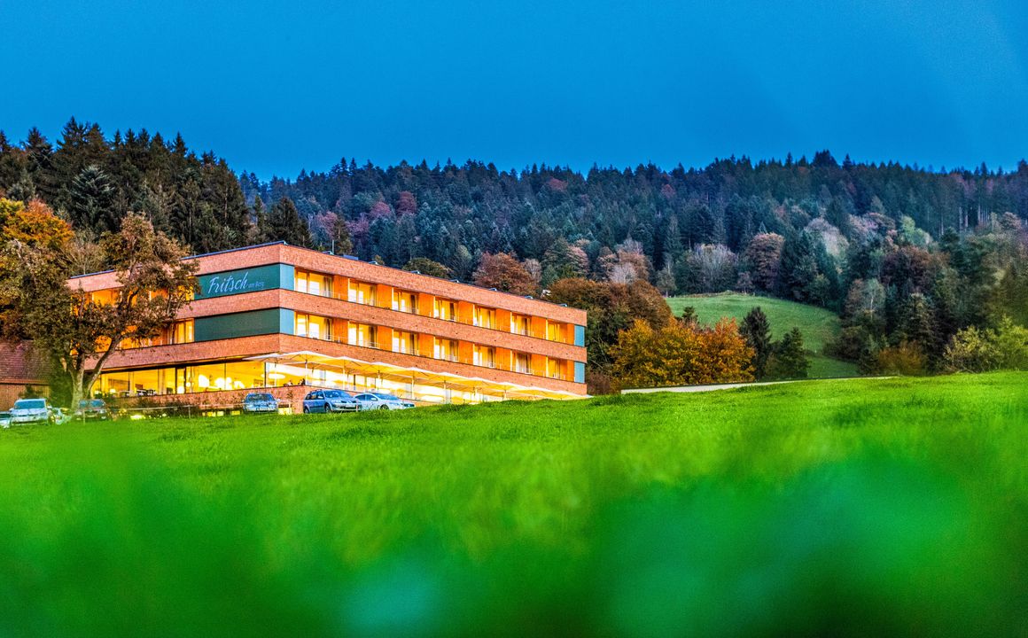 Mental-Spa-Hotel Fritsch am Berg in Lochau, Vorarlberg, Austria - image #1