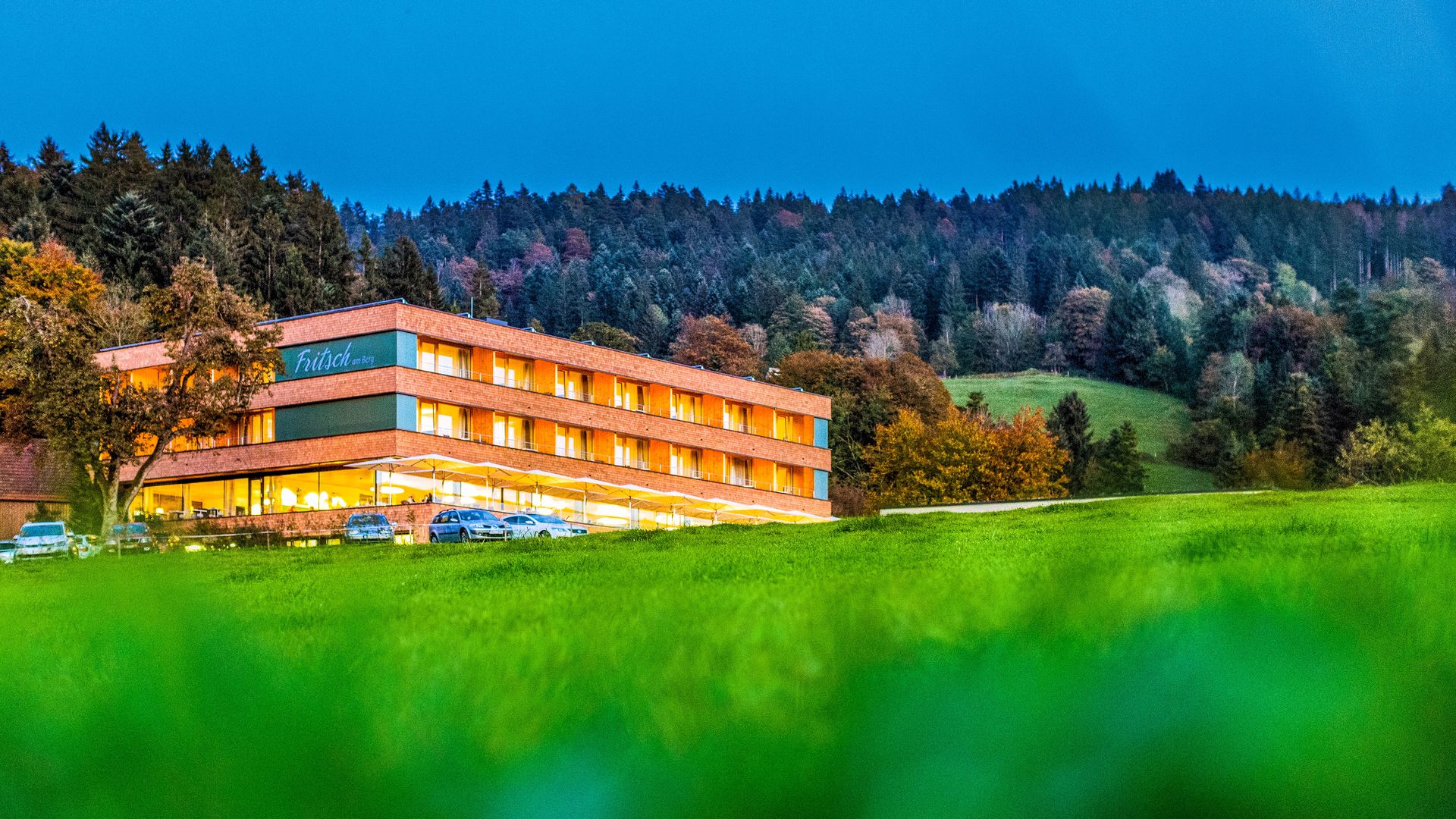 Mental-Spa-Hotel Fritsch am Berg, Lochau
