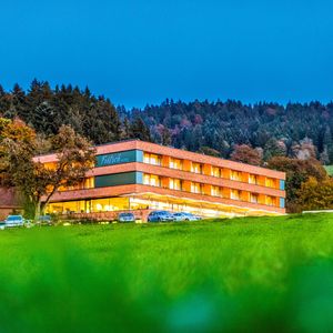 Mental-Spa-Hotel Fritsch am Berg-image-10