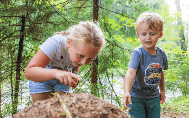 Friedlwirt Sommer Bachlauf Saalachtal