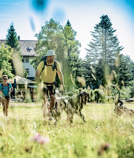 Angebot: Sommer Sehnsucht 14=12 - Natur- & Sporthotel Zuflucht