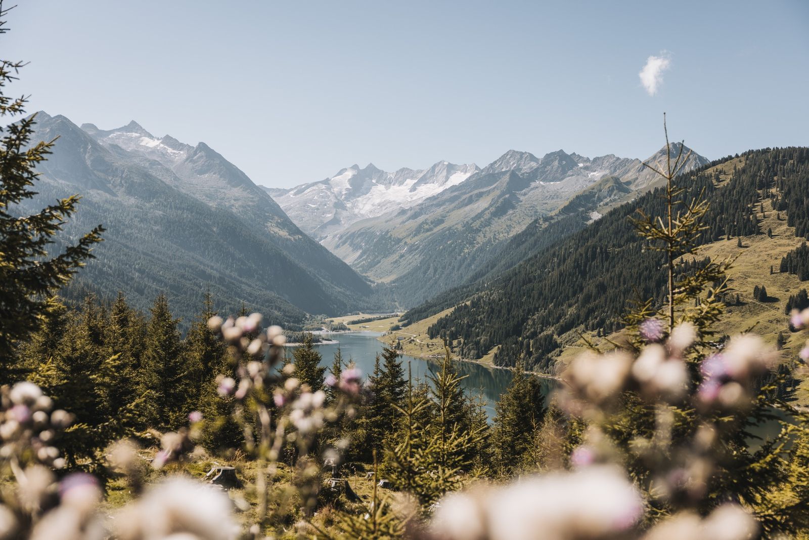 Sommerfrische 3+1 - Hotel Gaspingerhof