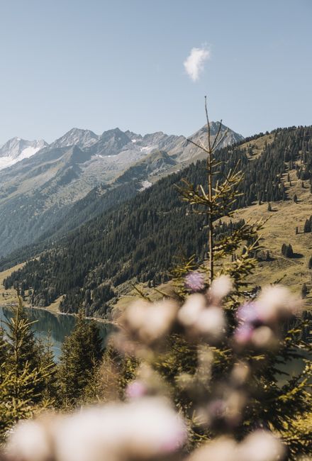 Angebot: Sommerfrische 3+1 - Hotel Gaspingerhof