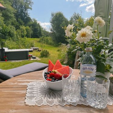 Außen Sommer 2, Ferienhaus Steirisch Ursprung, Brodersdorf, Steiermark, Steiermark, Österreich