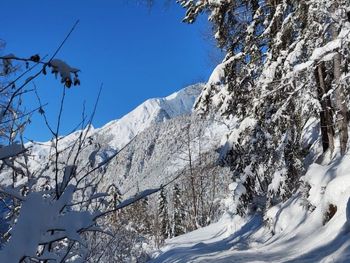 Hütte Lieblingsplatz - Vorarlberg - Austria